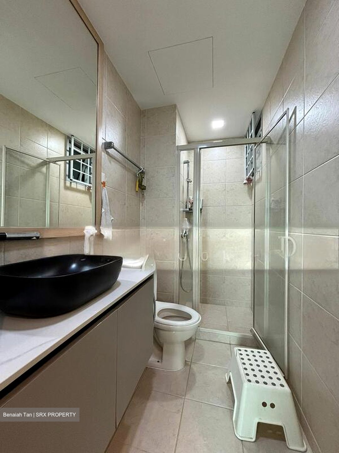 Hillview Regency (D23), Condominium #503461601